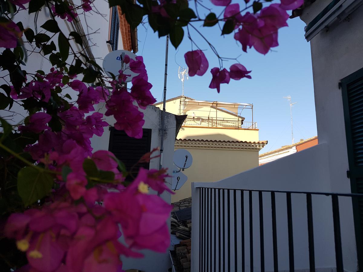 Residenza Borgo Antico Villa Termoli Bagian luar foto