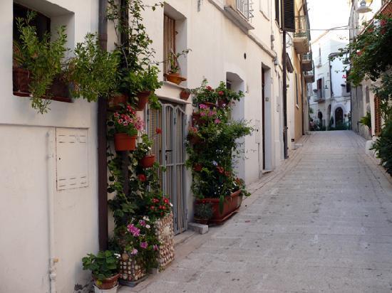 Residenza Borgo Antico Villa Termoli Bagian luar foto